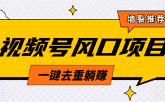 视频号风口蓝海项目，中老年人的流量密码，简单无脑，一键去重，轻松月入过万