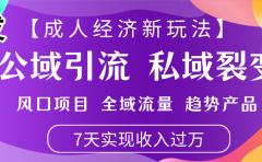 首发：【成人经济新玩法】市面独家玩法，风口项目、全域流量、趋势产品，7天实现月入过万