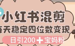 价值 3980 的小红书混剪， 虚拟变现，日引 200+宝妈创业粉，每天稳定四位数变现