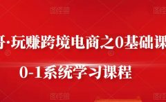 朱哥·玩赚跨境电商之0基础课程,0-1系统学习课程