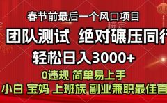 7天赚了1w，年前可以翻身的项目，长久稳定 当天上手 过波肥年