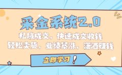 采金 系统2.0,私域成交,快速成交收钱,轻松卖货,业绩暴涨,潇洒赚钱