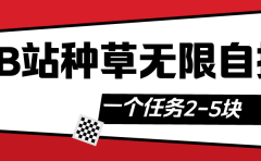 B站种草自然流加自撸