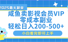 闲鱼零成本卖vip影视会员，日入200-500