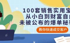 100套销售实用宝典:从小白到财富自由,未被公布的爆单秘密!