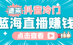最新抖音冷门简单的蓝海直播赚钱玩法，流量大知道的人少，可做到全无人直播