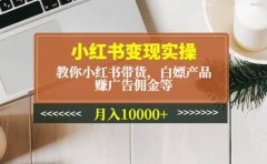 小红书变现实操：教你小红书带货，白嫖产品，赚广告佣金等