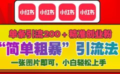 12底最新小红书单日引流200+创业粉,“简单粗暴”引流法,一张图片即可操作,小白轻松上手,私信根本回不完