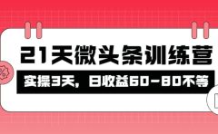 被忽视的微头条,21天微头条训练营