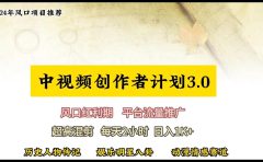 视频号创作者分成计划详细教学，每天2小时，月入3w+