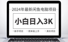 2024最新闲鱼卖电脑项目，新手小白日入3K+，最真实的项目教学