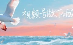 视频号做下雨视频一个账号一周涨粉10W+年入100w