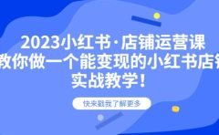 2023小红书·店铺运营课,教你做一个能变现的小红书店铺,20节-实战教学