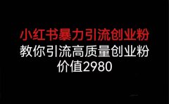 小红书暴力引流创业粉，教你引流高质量创业粉，价值2980
