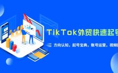 TikTok/外贸·快速起号课,方向认知,起号宝典,账号运营,视频拍摄(33节)