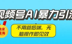 独家蓝海!视频号AI暴力引流:不用管后端,无脑操作即见效