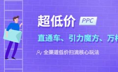 2023超低价·ppc—“直通车、引力魔方、万相台”全渠道·低价扫流核心玩法