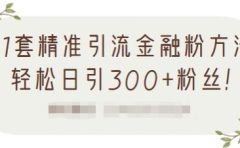 1套精准引流金融粉方法,轻松日引300+粉丝【视频课程】