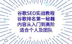谷歌SEO实战教程：谷歌排名第一秘籍，内容从入门到高阶，适合个人及团队