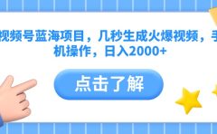 视频号蓝海项目,几秒生成火爆视频,手机操作,日入2000+vv
