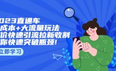 2023直通小成本+大流量玩法，低价快速引流拉新收割，让你快速突破瓶颈