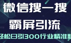 微信搜一搜霸屏引流课,打造被动精准引流系统,轻松日引300行业精准粉【无水印】