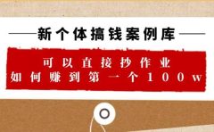 新个体 搞钱案例 库，可以直接抄作业 如何赚到第一个100w（29节视频+文档）