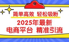 2025年最新电商平台精准引流 简单高效 轻松吸粉