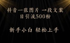 每天2分钟，抖音一张图片 一段文案日引流500粉