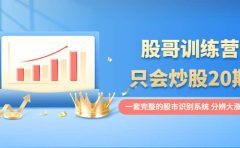 股哥训练营·只会炒股20期：一套完整的股市识别系统，分辨大涨、大跌