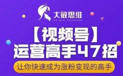 大敏思维-视频号运营高手47招，让你快速成为涨粉变现高手