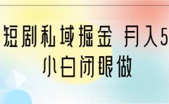 靠短剧私域掘金 月入5W 小白闭眼做（教程+2T资料）