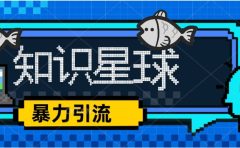 价值1980，知识星球课程，流量堆积器，冷门暴力引流项目，全网最新玩法