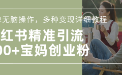 小红书精准日引200+宝妈创业粉，简单无脑操作，多种变现详细教程