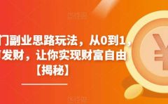 4个冷门副业思路玩法，从0到1，闷声发财，让你实现财富自由【揭秘】