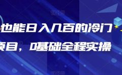 新手也能日入几百的冷门DIY项目，0基础全程实操【揭秘】