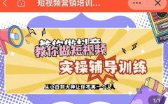 蕊总很忙·短视频营销培训实操课教你快速入门，教你做抖音短视频
