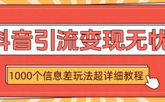 抖音引流变现无忧:1000个信息差玩法超详细教程