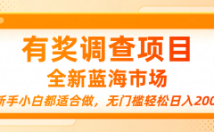 有奖调查项目,全新蓝海市场,新手小白都适合做,无门槛轻松日入200+