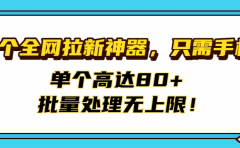 首个全网拉新神器,只需手机,单个高达80+,批量处理无上限!