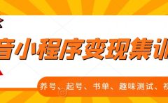 抖音小程序变现集训课，养号、起号、书单、趣味测试、视频剪辑，全套流程