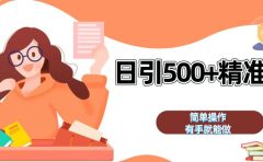 日引500+精准粉 简单操作 有手就能做