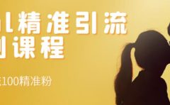 soul精准引流系列课程，每天引流100精准粉