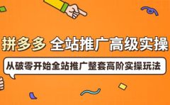 拼多多全站推广高级实操:从破零开始全站推广整套高阶实操玩法