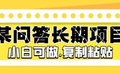 某问答长期项目，简单复制粘贴，小白可做