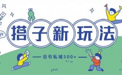 最新搭子玩法4.0-日引私域500+不违规