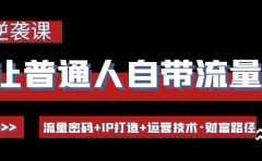 让普通人自带流量的逆袭课:流量密码+IP打造+运营技术·财富路径