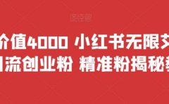 首发价值4000 小红书无限艾特暴力引流创业粉 精准粉揭秘教程