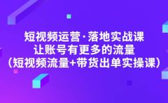 短视频运营·落地实战课 让账号有更多的流量（短视频流量+带货出单实操）