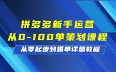 拼多多新手运营从0-100单策划课程，从零起步到爆单详细教程